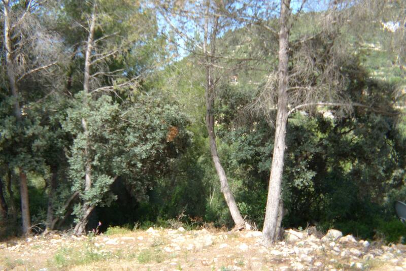 Land for sale in Alcalali, Alicante