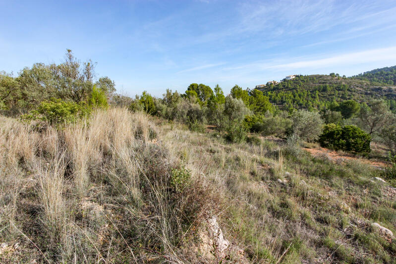 Land for sale in Orba, Alicante