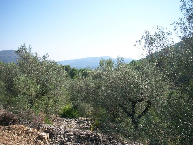 Terrenos en venta
