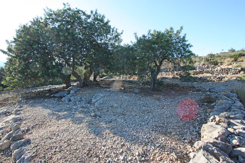 Terrain à vendre dans Benimeli, Alicante