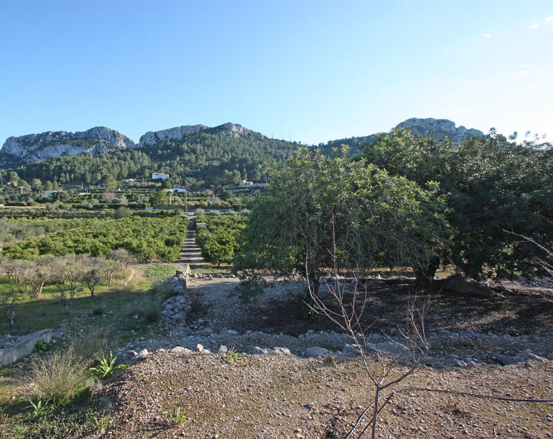 Terrain à vendre