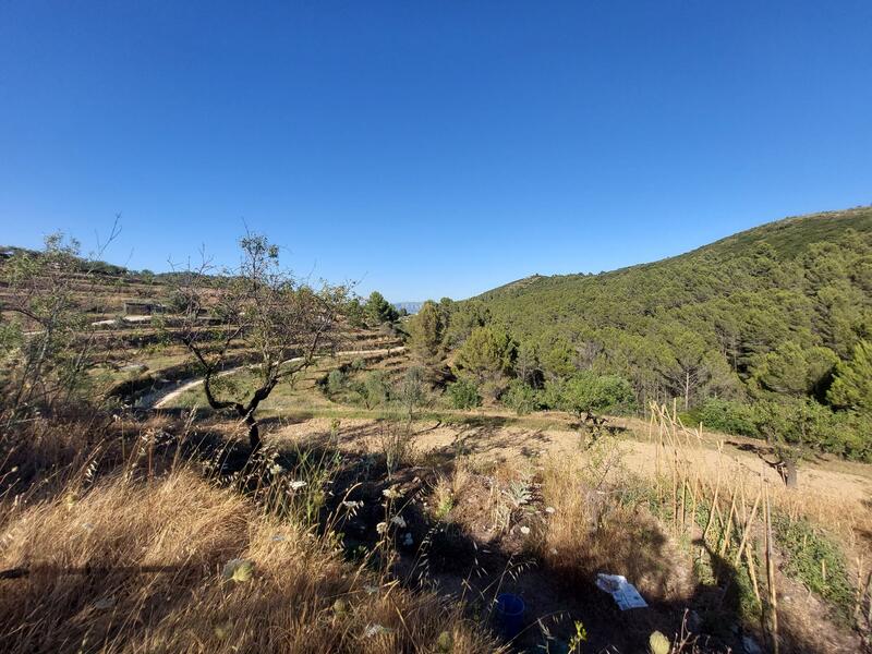 Land Te koop in Jalón, Alicante