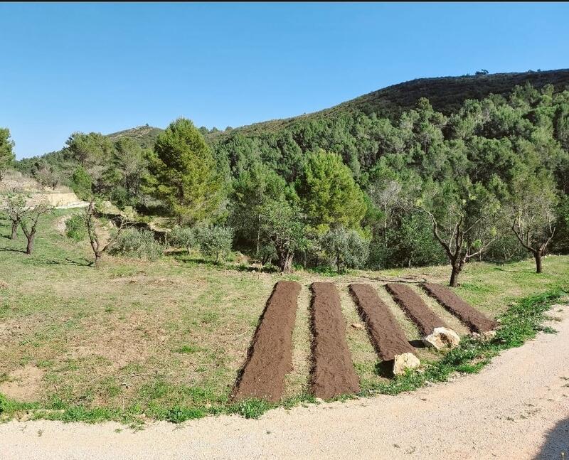 Terrain à vendre