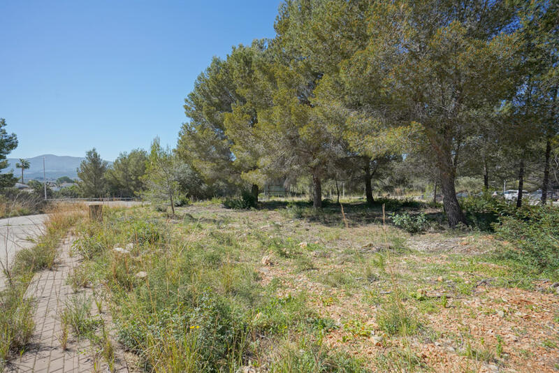 Autre à vendre