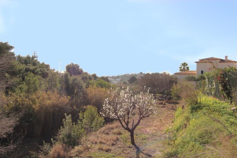 Другие продается в Benissa, Alicante