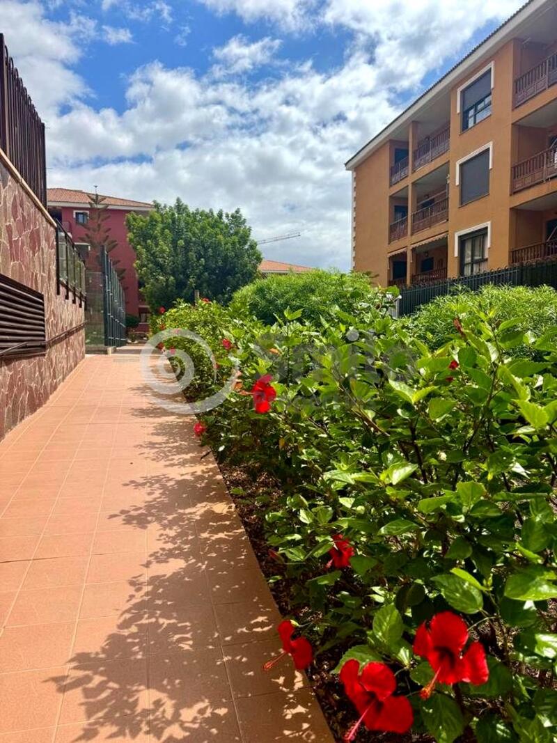 1 bedroom Apartment for Long Term Rent