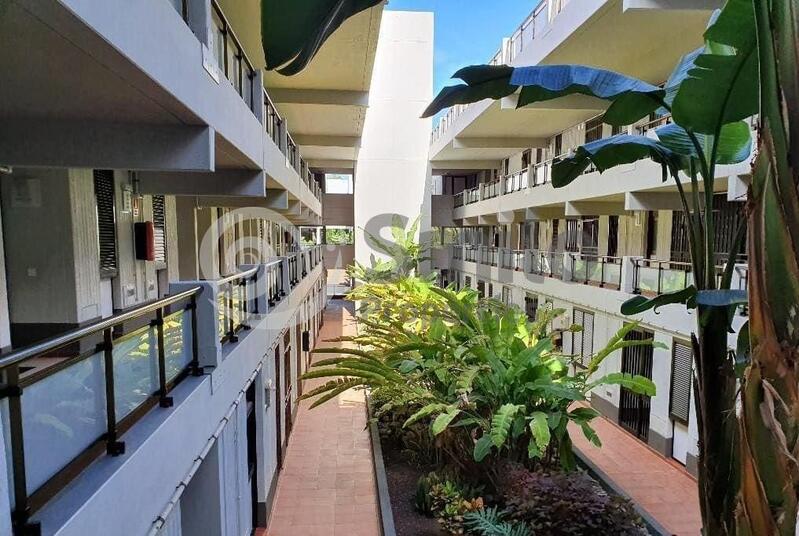 1 bedroom Apartment for Long Term Rent