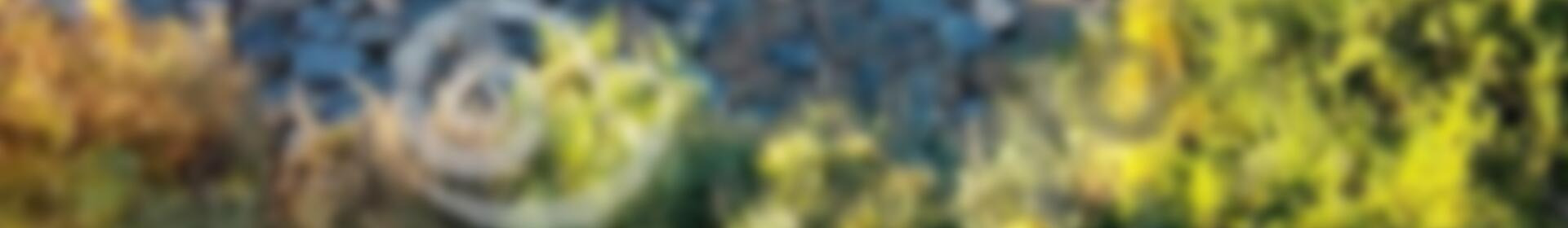 2 bedroom Villa for sale