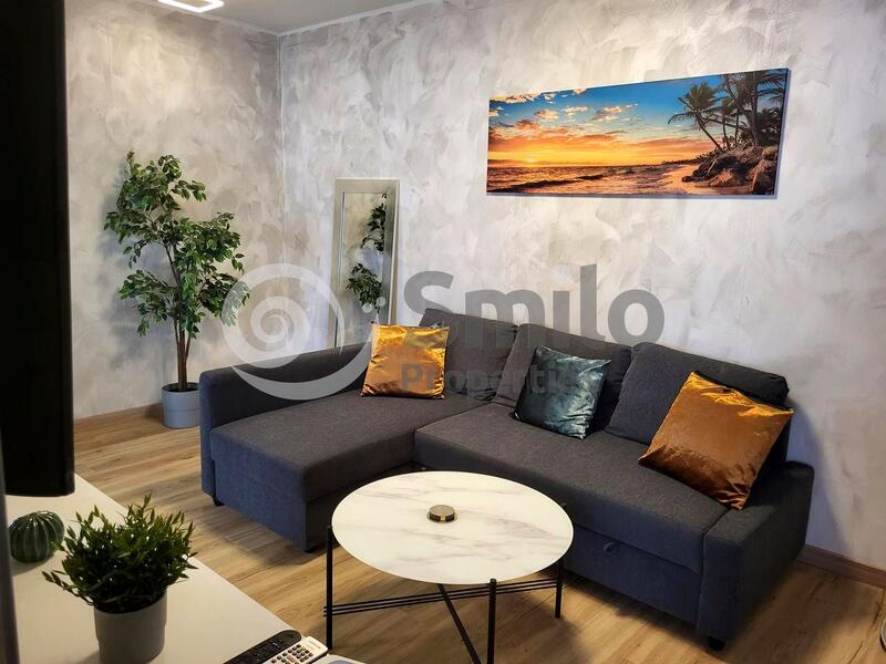 1 soverom Leilighet for langtidsleie 1 soverom Leilighet for langtidsleie