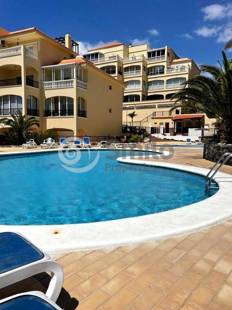 1 bedroom Apartment for Long Term Rent