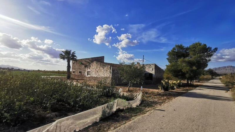 Land for sale in Albatera, Alicante