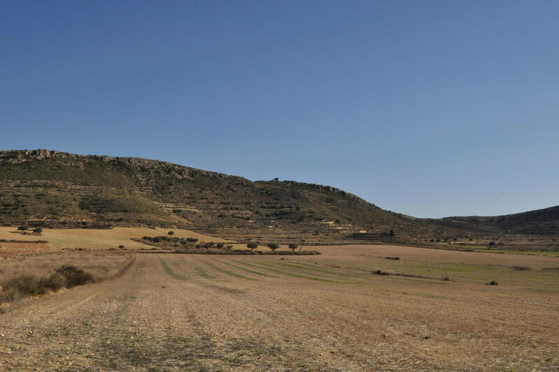 Annen til salgs i Torrevieja, Alicante