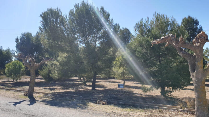 Landa till salu i Torrevieja, Alicante