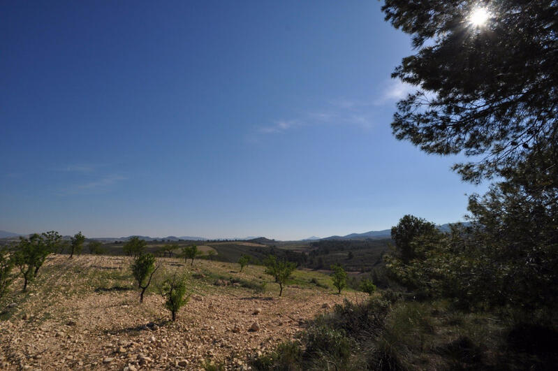 Landa till salu i Torrevieja, Alicante