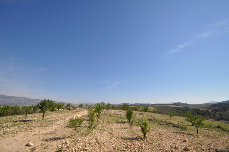 Terrenos en venta