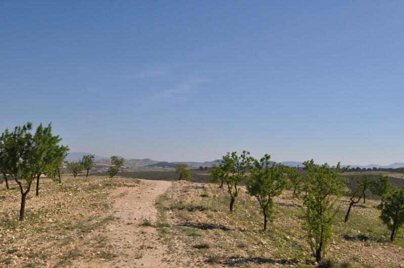 Terrenos en venta