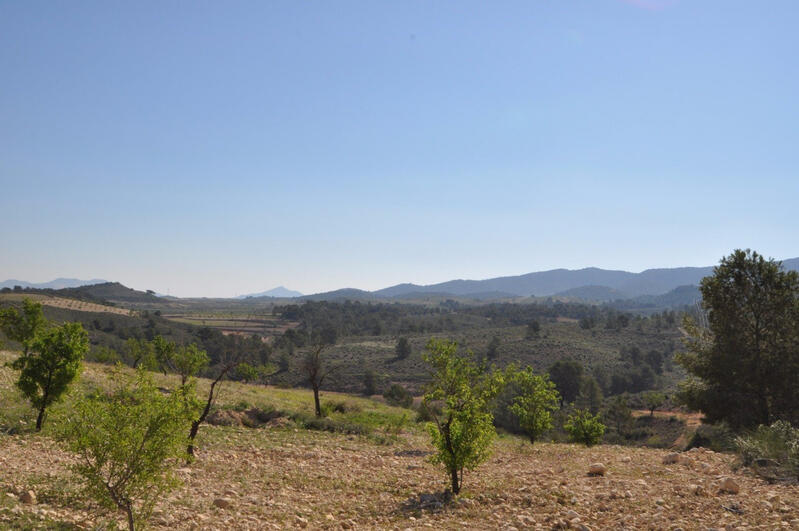 Terrenos en venta