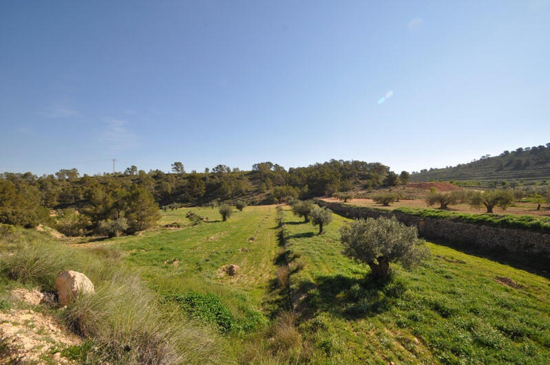 Land for sale in Torrevieja, Alicante