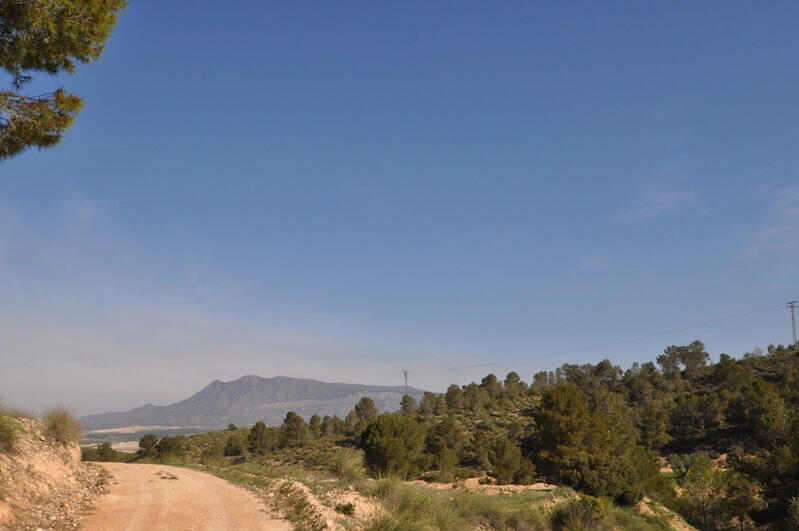 Terrenos en venta