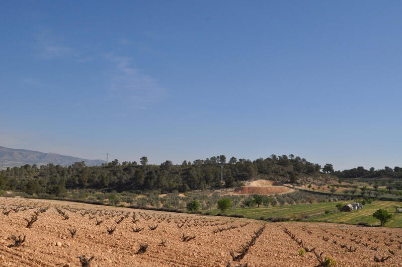 Landa till salu i Torrevieja, Alicante