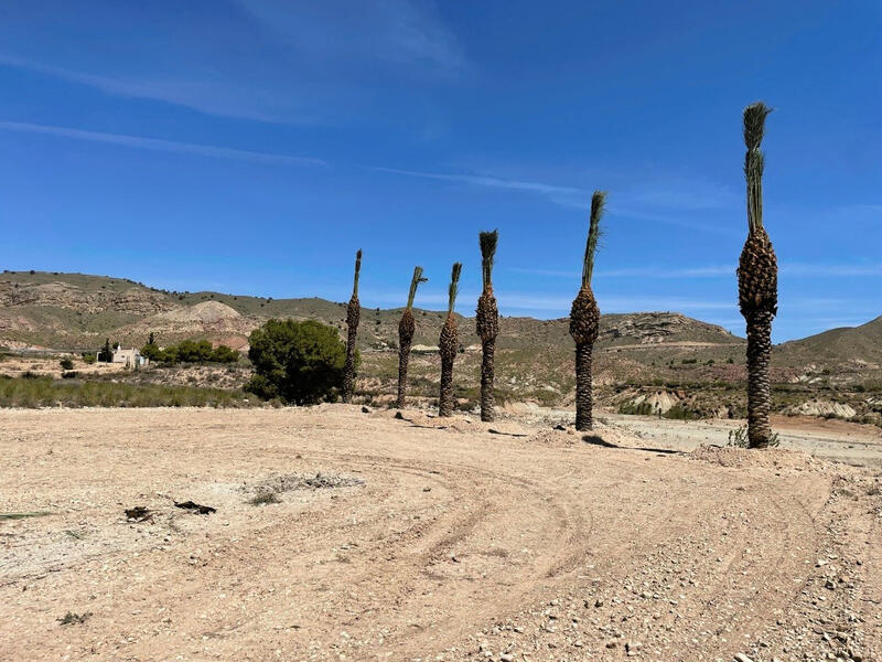 Land for sale in Abanilla, Murcia