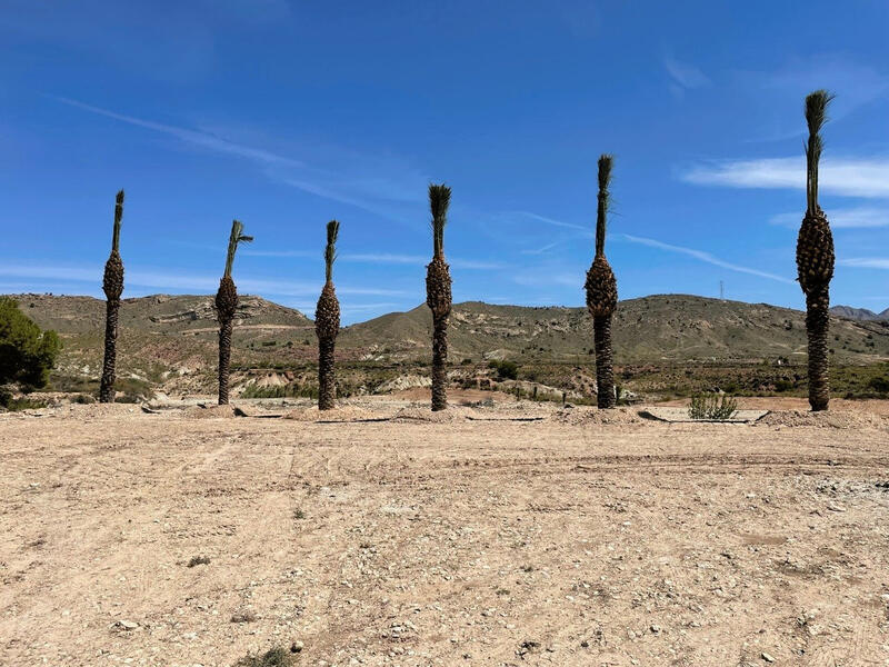 Land for sale