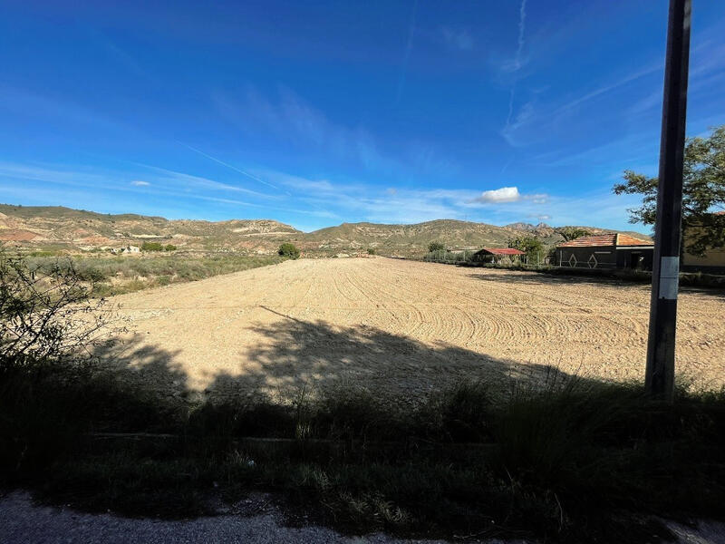 Land for sale