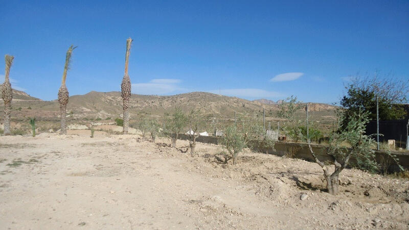 Land for sale