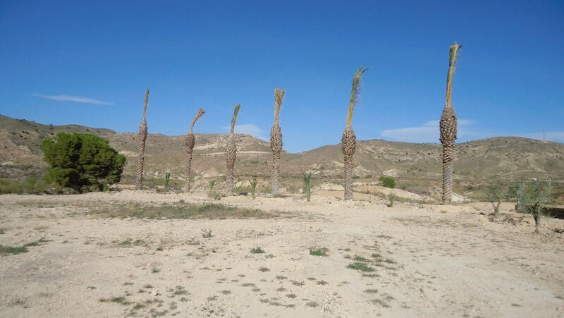Land for sale