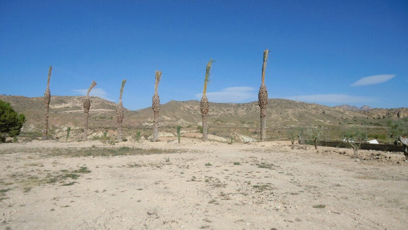 Land for sale