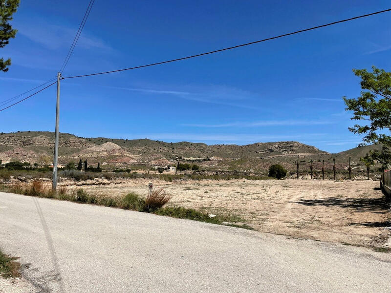 Land for sale