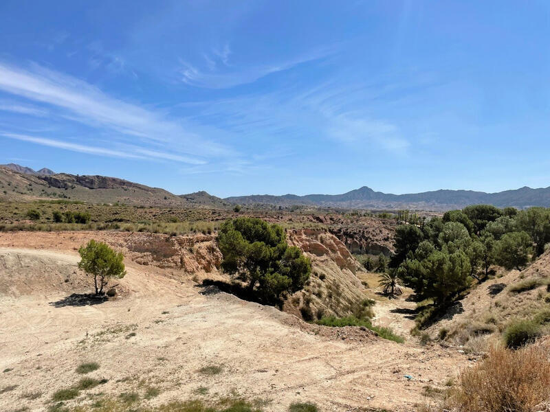Land for sale