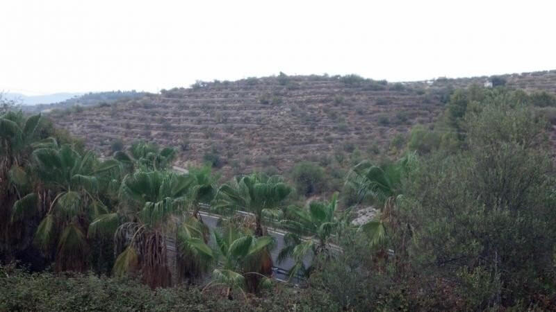 Autre à vendre dans Gandia, Vizcaya