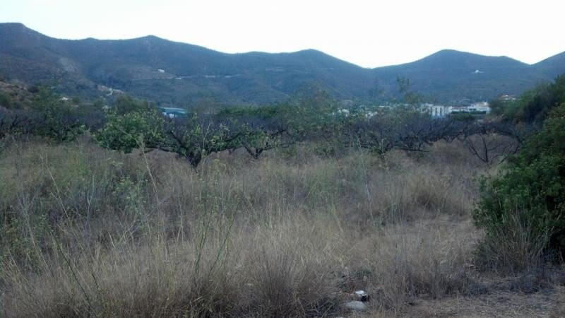 Terrenos en venta
