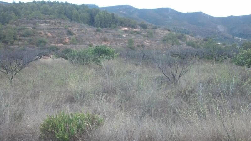 Terrenos en venta