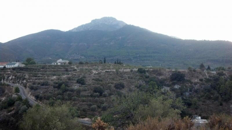 Terrenos en venta