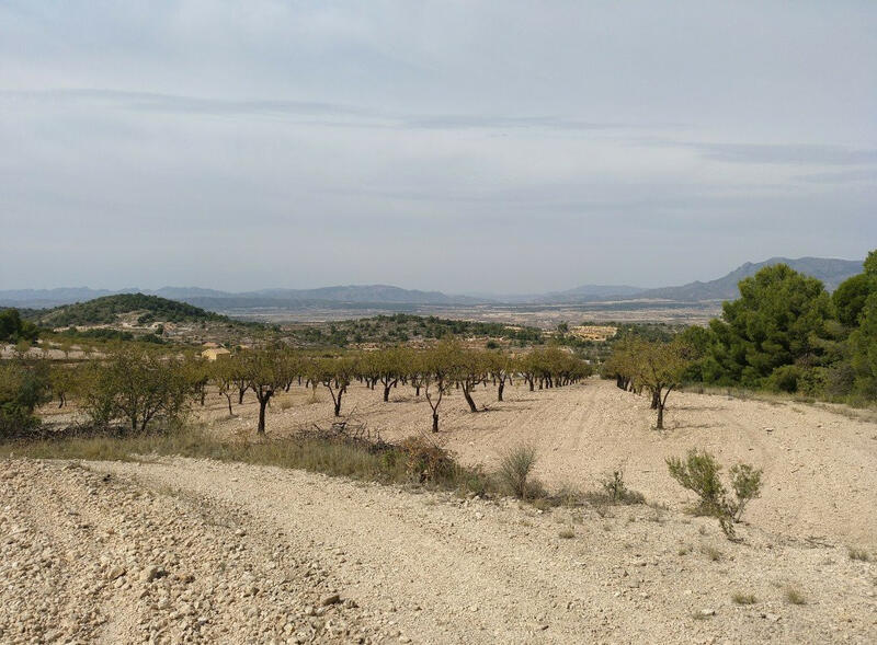 Sonstiges zu verkaufen in Abanilla, Murcia