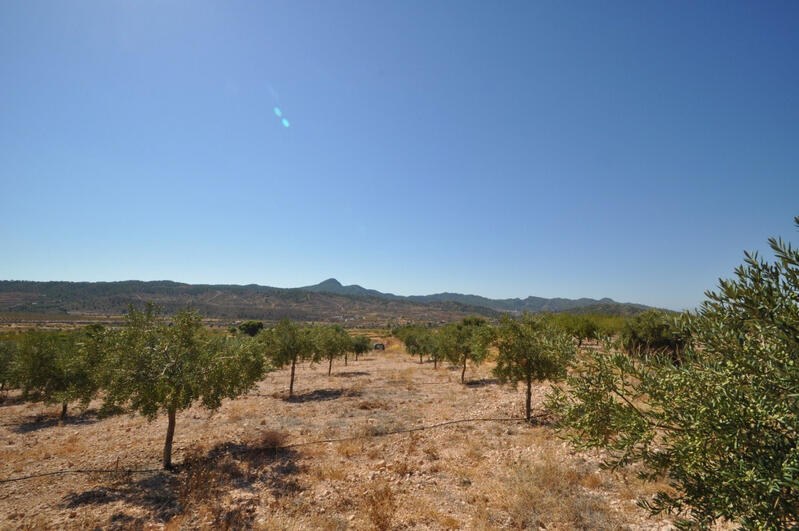 Sonstiges zu verkaufen in Macisvenda, Murcia