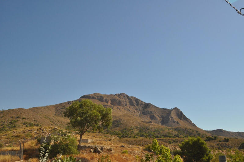 Terrenos en venta