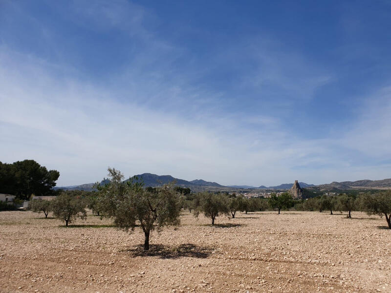 Land for sale in Torrevieja, Alicante
