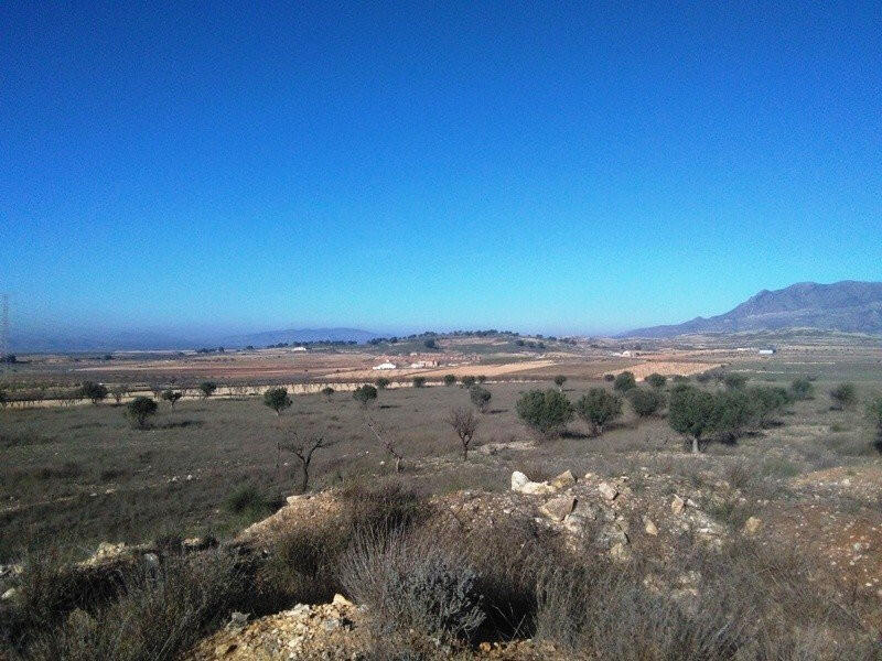 земля продается в Torrevieja, Alicante