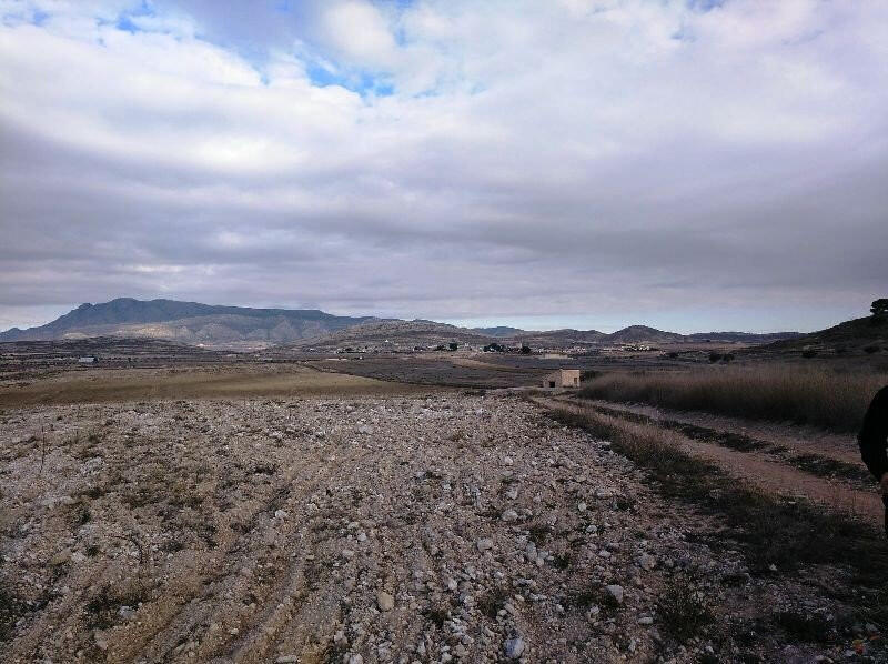 Land for sale