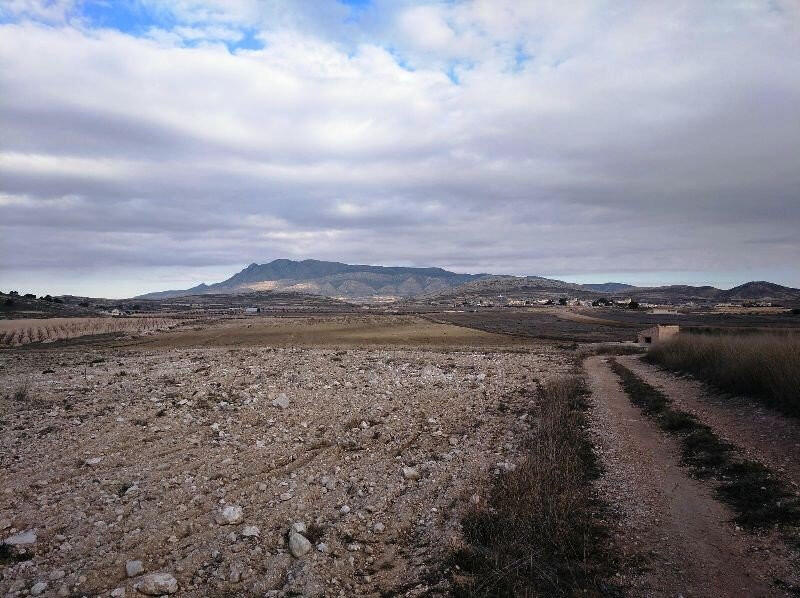 Land for sale