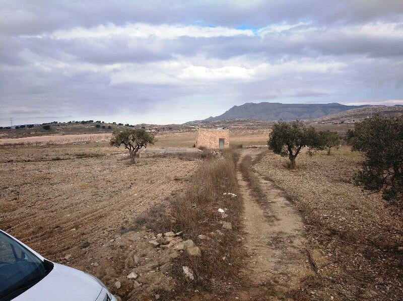 Land for sale
