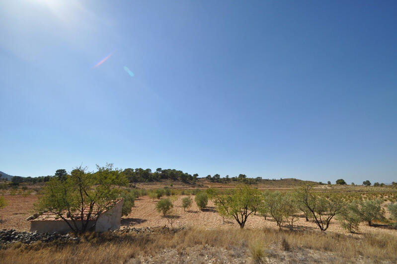 Land for sale