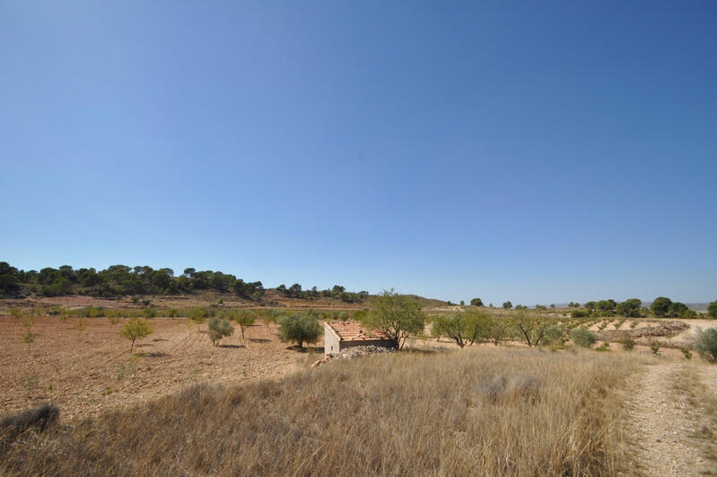 Land for sale