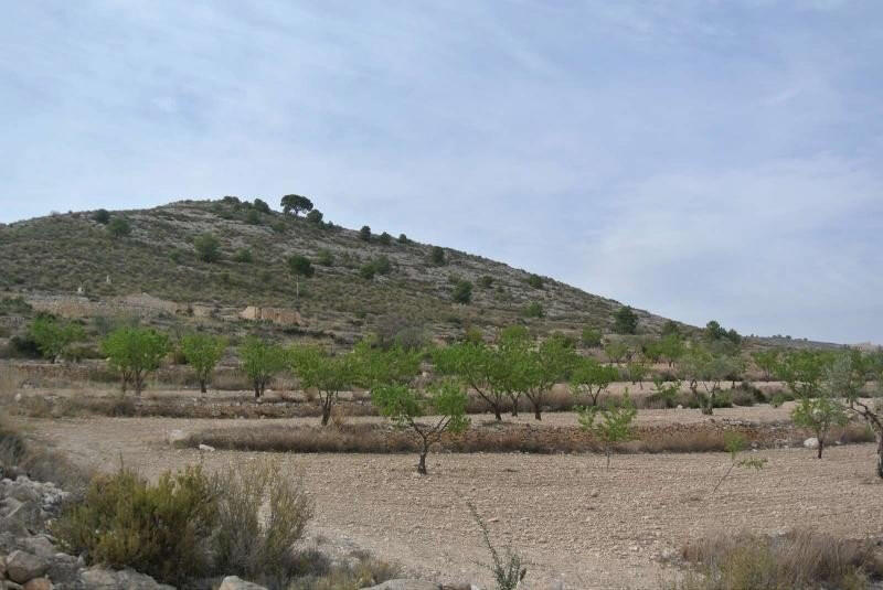 Land for sale in Torrevieja, Alicante