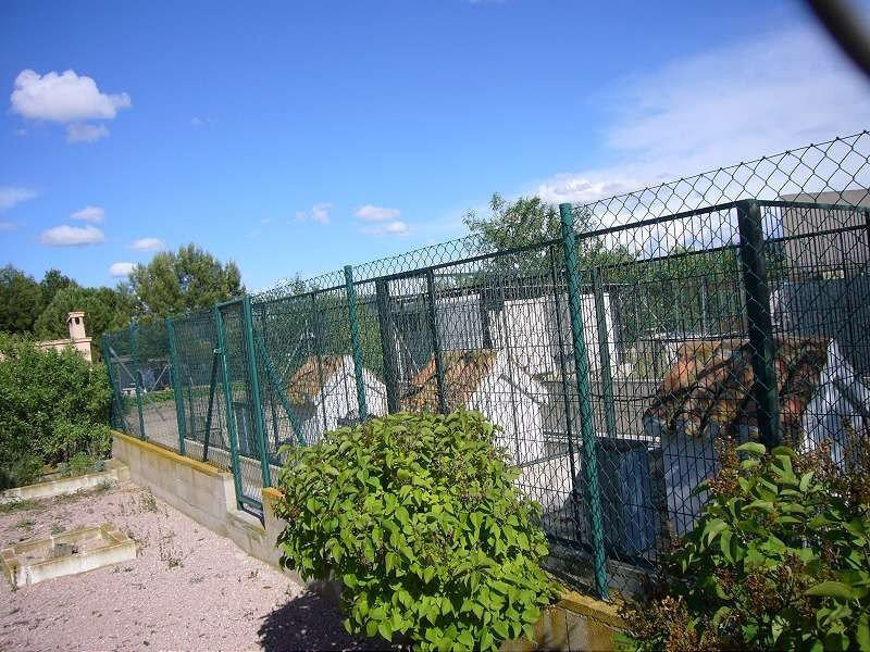5 chambre Auberge à vendre