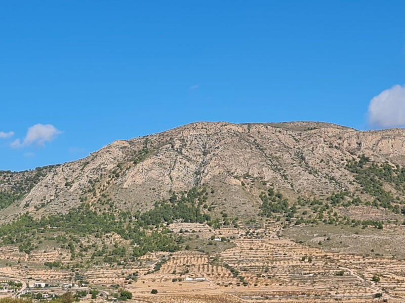 Övrig till salu i La Romana, Alicante