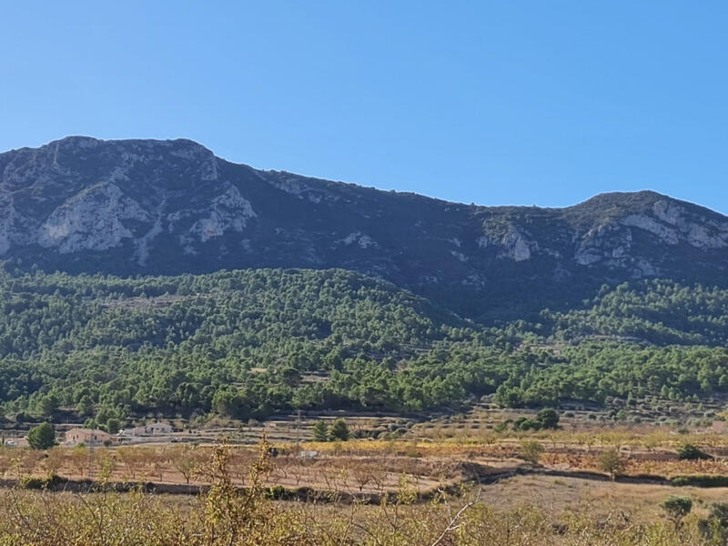 Jord til salg i La Romana, Alicante
